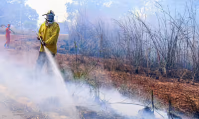 contratacao-emergencial-de-brigadistas-e-aberta-para-combate-a-incendios-florestais-no-tocantins
