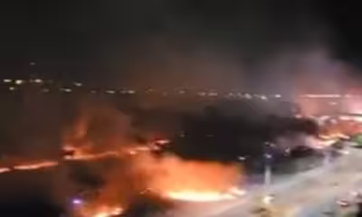 incendio-em-area-verde-de-palmas-afeta-escola-e-leva-a-suspensao-de-aulas-para-700-estudantes