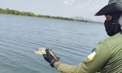 naturatins-intensifica-combate-a-pesca-ilegal-com-operacao-malha-fina