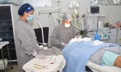 governo-do-tocantins-publica-mp-que-amplia-contratacoes-de-medicos-especialistas