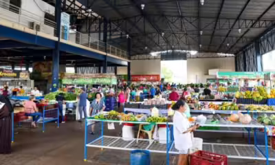 recadastramento-para-feirantes-de-palmas-encerra-nesta-sexta,-29,-com-requisitos-obrigatorios