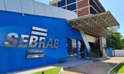sebrae-tocantins-abre-selecao-para-assistente-ii-exclusiva-para-pessoas-com-deficiencia