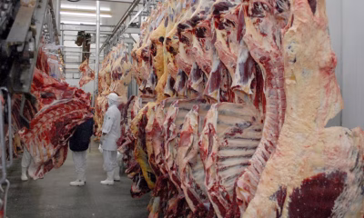 tocantins-realiza-encontro-com-secretarios-municipais-para-ampliar-controle-sanitario-de-produtos-animais