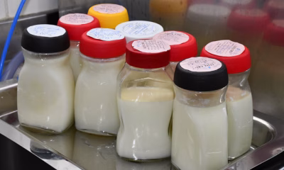 governo-do-tocantins-celebra-23-anos-do-banco-de-leite-que-ja-beneficiou-mais-de-16-mil-bebes