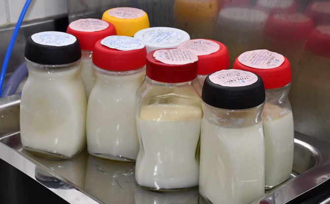 governo-do-tocantins-celebra-23-anos-do-banco-de-leite-que-ja-beneficiou-mais-de-16-mil-bebes