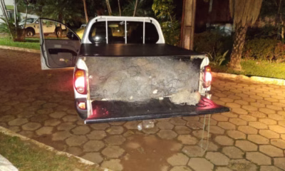 fiscalizacao-combate-pesca-predatoria-e-apreende-materiais-irregulares-em-acao-por-cinco-cidades-tocantinenses