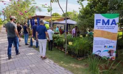 prefeitura-de-palmas-distribui-mudas-do-cerrado-e-reforca-acoes-ambientais-durante-a-agrotins