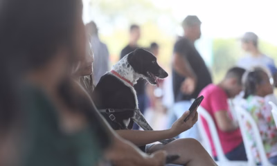 prefeitura-de-palmas-realiza-mutirao-no-aureny-iii-e-garante-atendimento-veterinario-gratuito-para-mil-animais