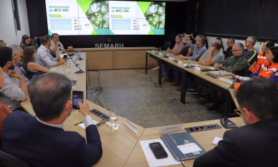 plataforma-digital-e-lancada-para-ajudar-no-combate-ao-desmatamento-e-as-queimadas