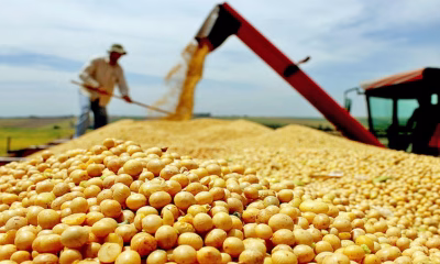 tocantins-deve-colher-8,4-milhoes-de-toneladas-de-graos-na-safra-2024/2025,-aponta-ibge