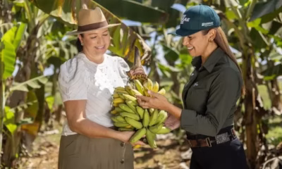 sebrae-participa-do-2o-dia-de-campo-nelore-cedro-em-paraiso-do-tocantins