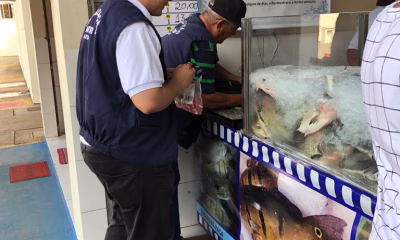 fiscalizacao-da-aem-alerta-para-risco-de-peso-enganoso-na-venda-de-peixes-na-semana-santa;-veja-como-evitar-prejuizo